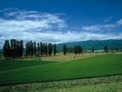 Agricultural land only 5 km. from the Danube  