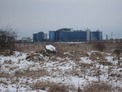 Development land of very good size and locality - near Sofia Airport   