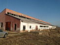 Good business opportunity: dairy farm near Vidin  