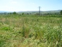 Property with permission for bottling spring table water 